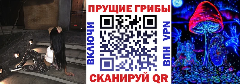 Псилоцибиновые грибы Psilocybe  мега tor  Кропоткин 